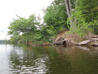 IMG 4382